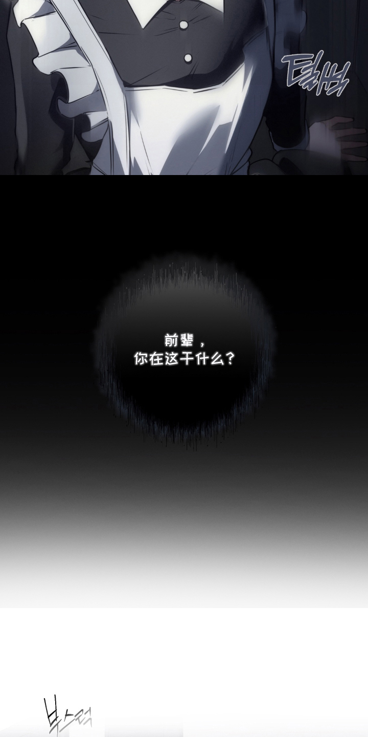 柜中女仆 - 女仆装 - 第12页