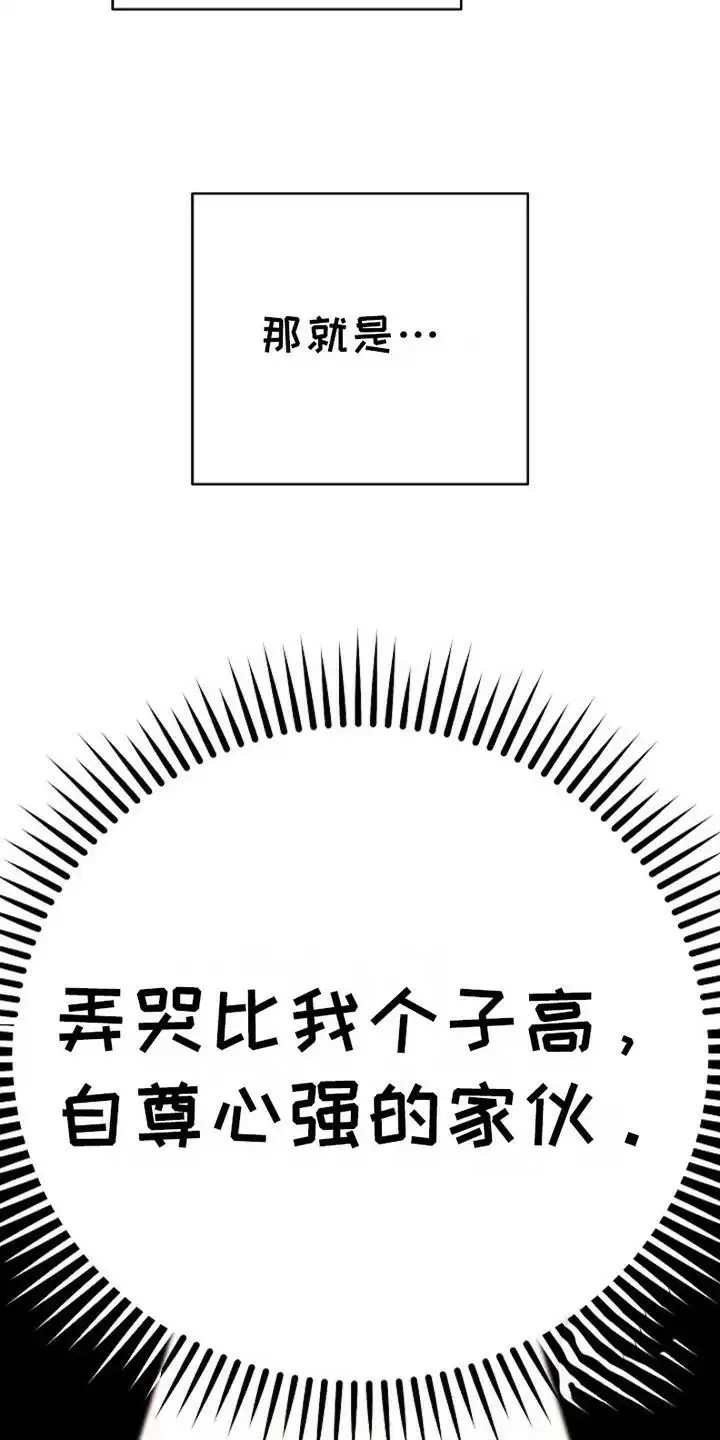 梦幻应用程序 - 癖好 - 第13页
