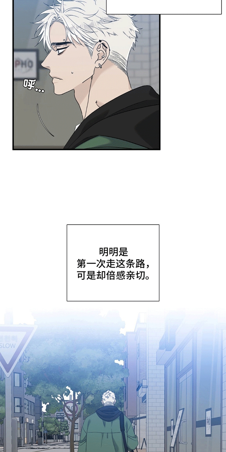 错位记忆 - 混乱的记忆 - 第5页