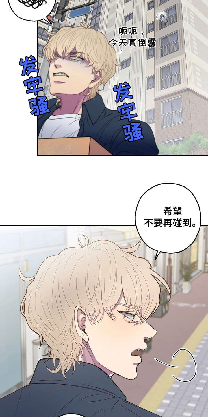 消极爱情 - 终于见面 - 第20页