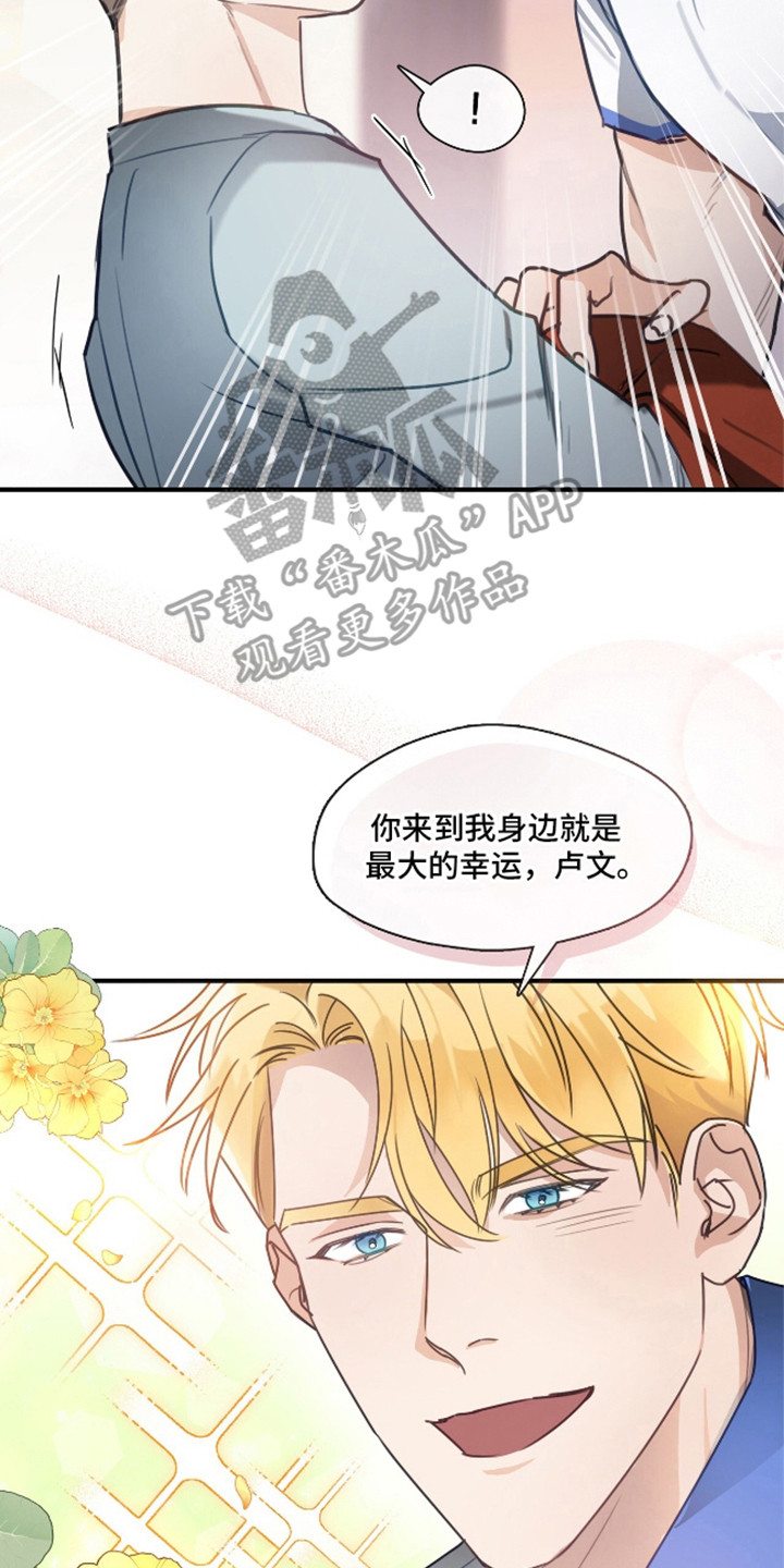 总裁的私人秘书 - 小毛病 - 第15页