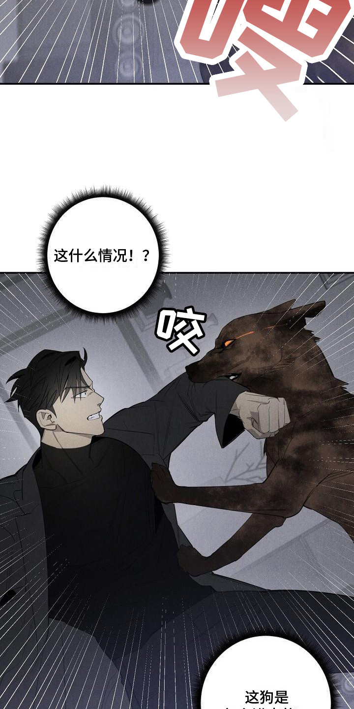 迷失方向 - 变身 - 第7页