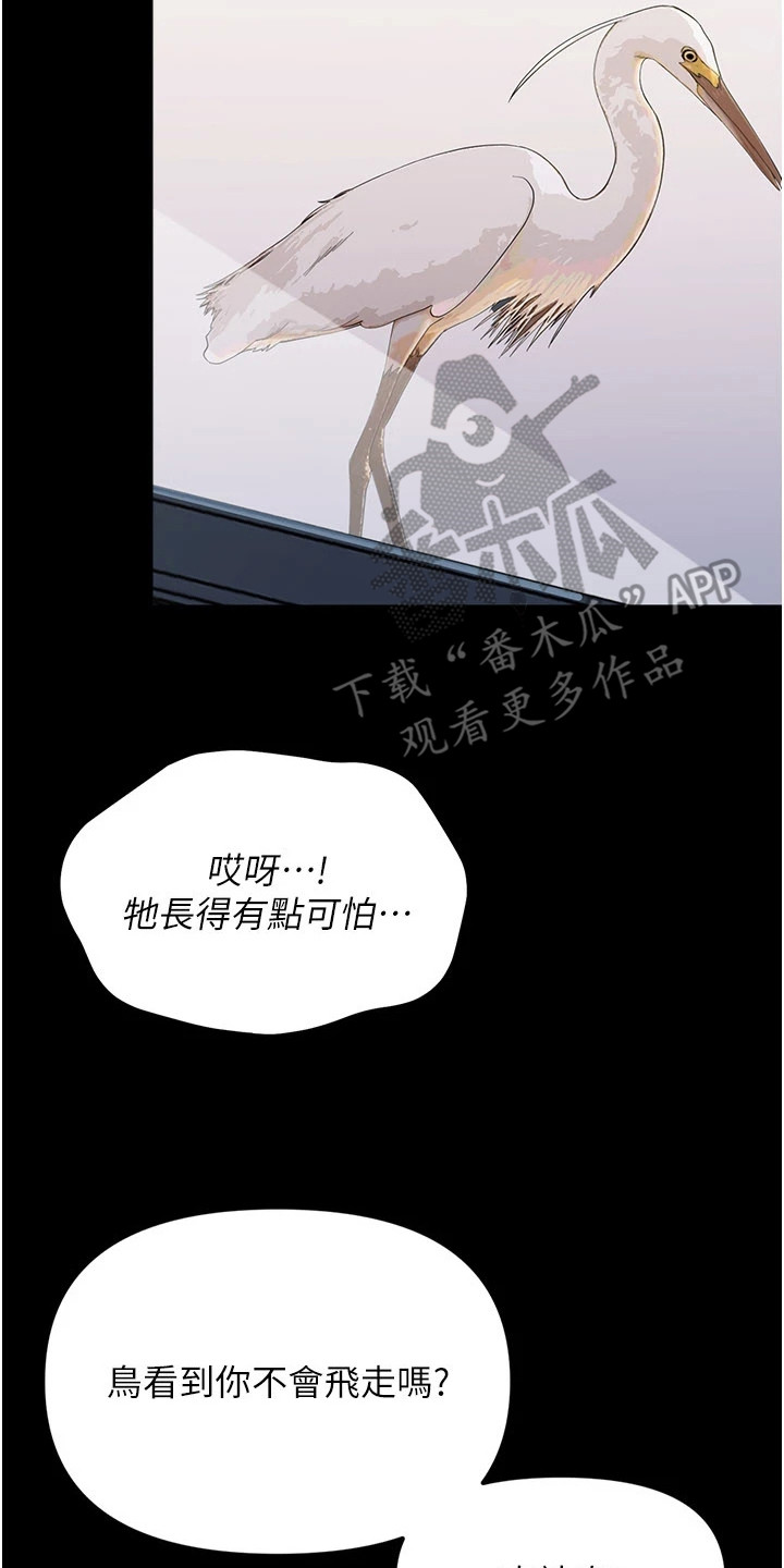 童颜牢笼 - 困扰 - 第23页