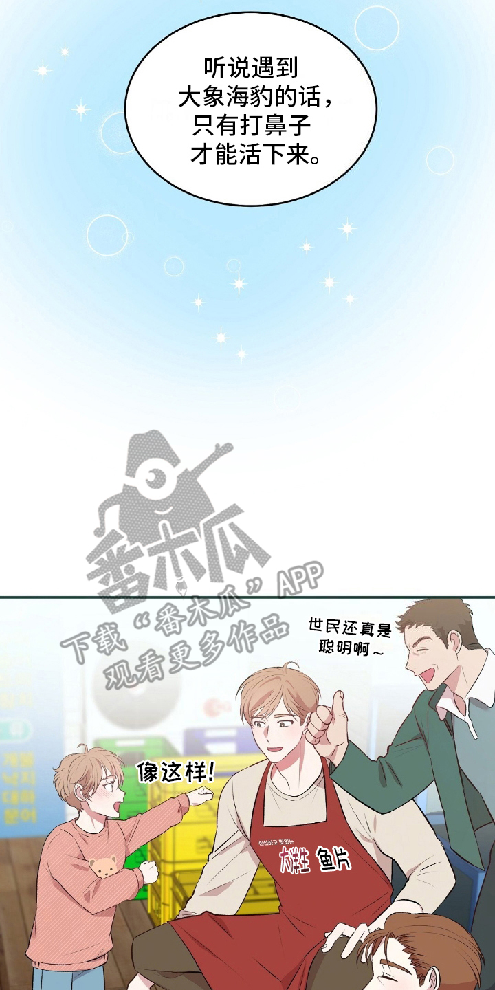 无人岛情缘 - 野外生存节目 - 第13页