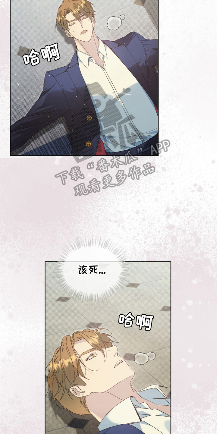 不幸牢笼 - 报复 - 第27页