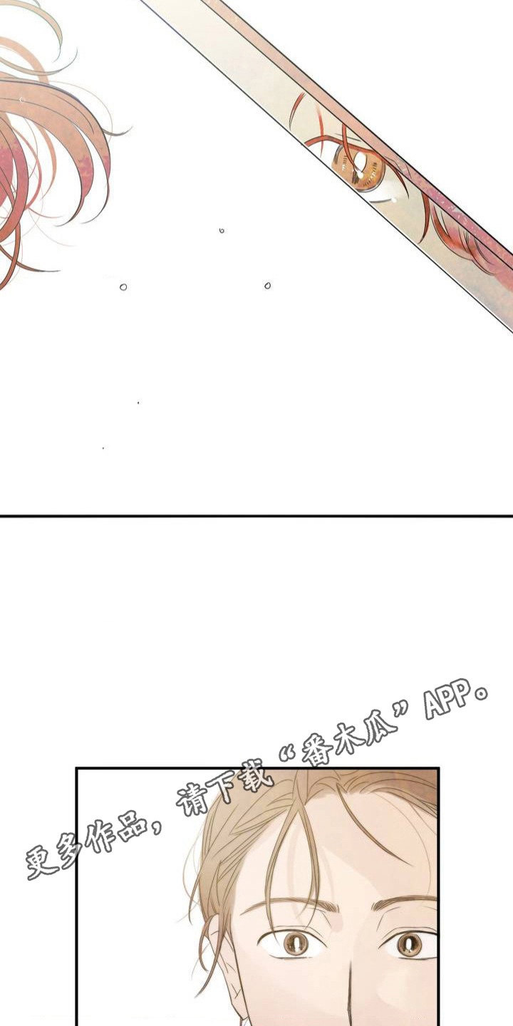 月光骑士 - 打招呼 - 第12页
