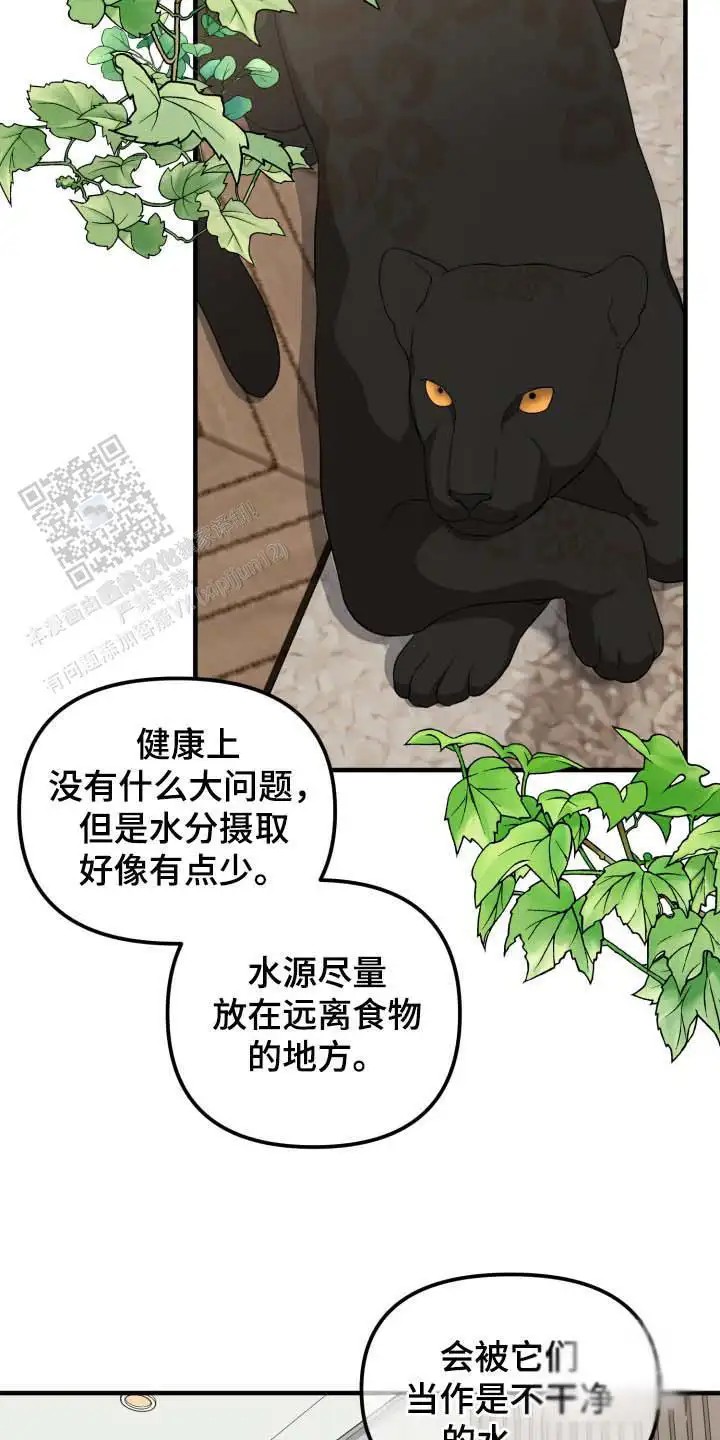 猛宠旧情 - 能力出色 - 第15页