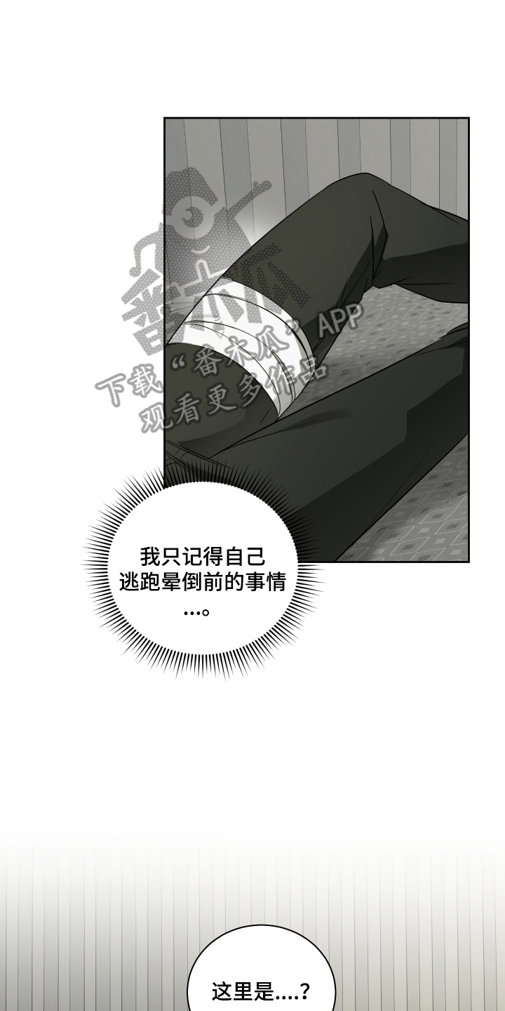 绿茵花园 - 花店老板 - 第11页
