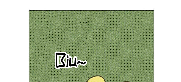 开或关 - 追加募集 - 第29页