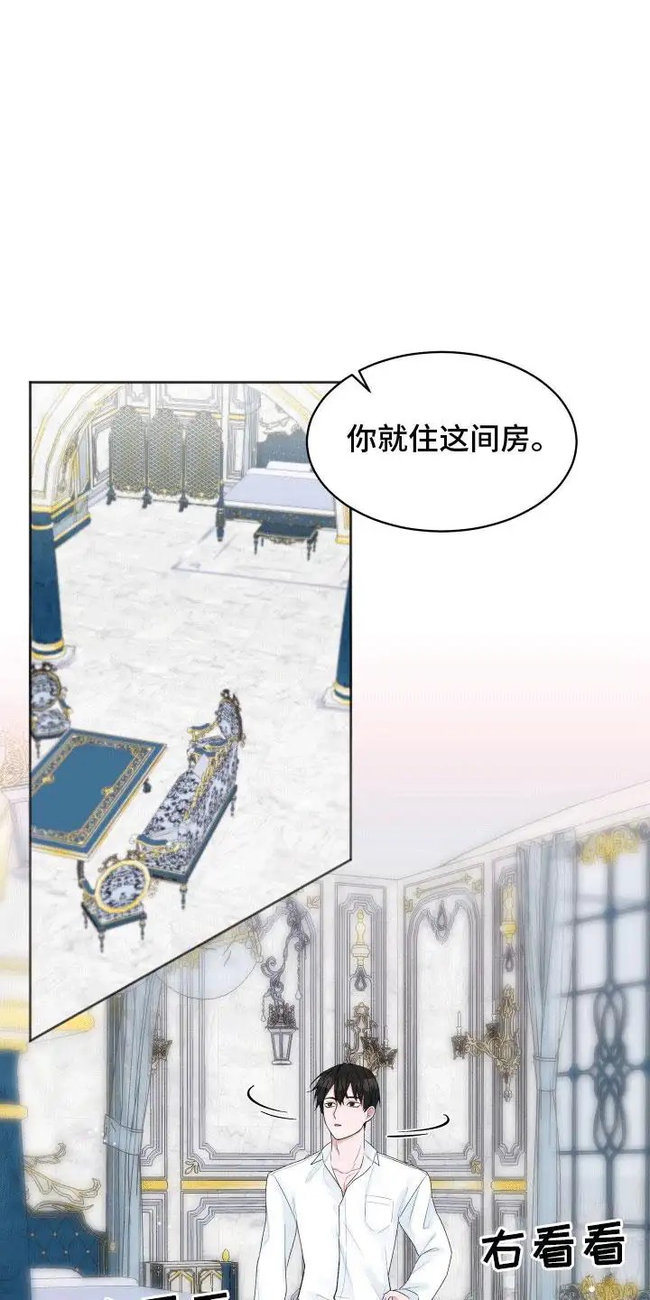 快穿异世界爽文 - 收留 - 第16页
