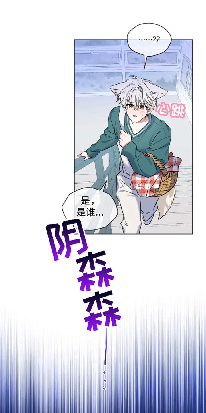 狐狸特饮 - 视线 - 第20页