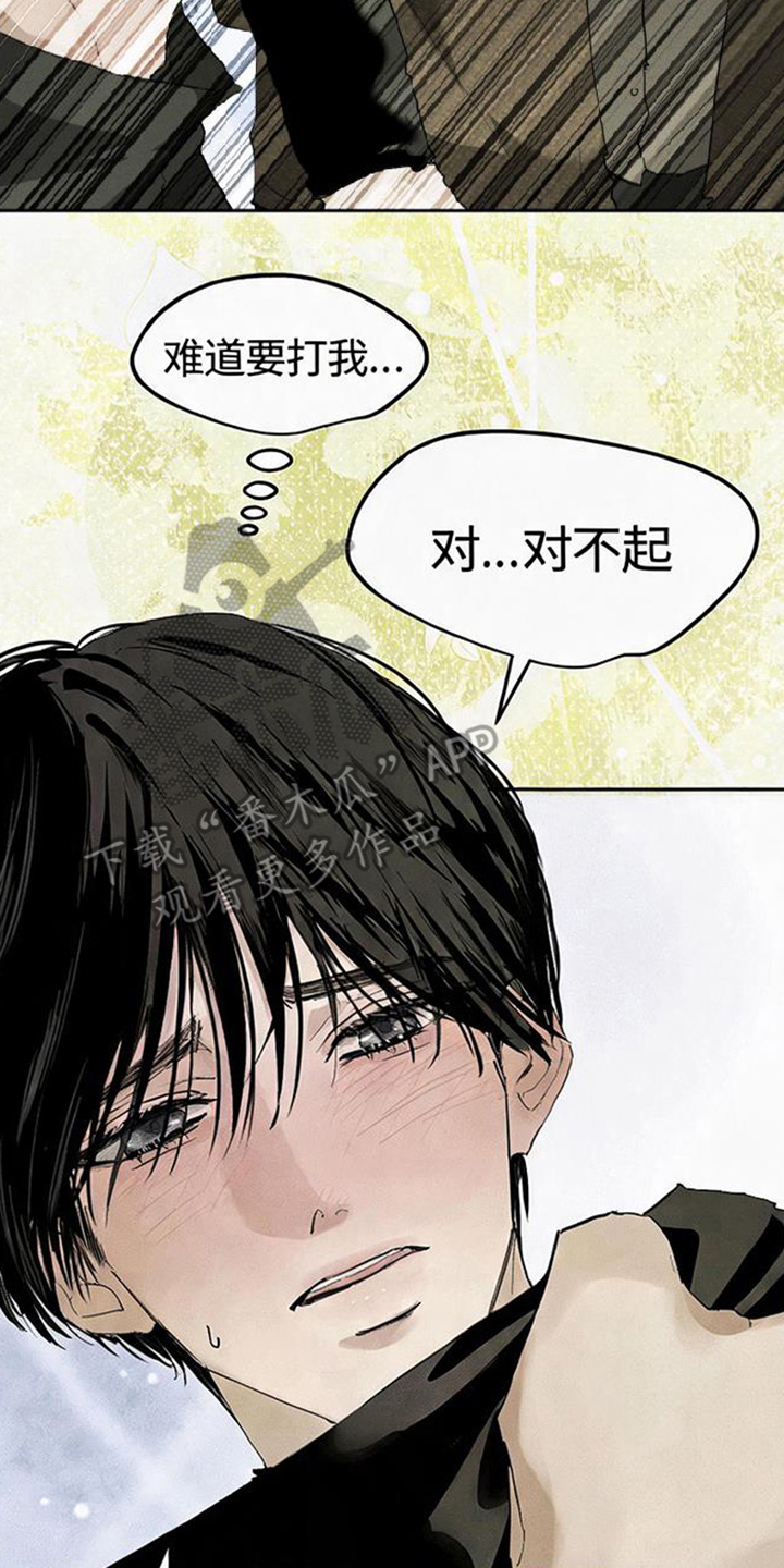 坠落的特技 - 你是哪里的演员 - 第11页