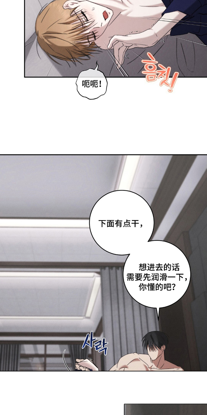 危险的契约 - 梦到的哥哥 - 第18页