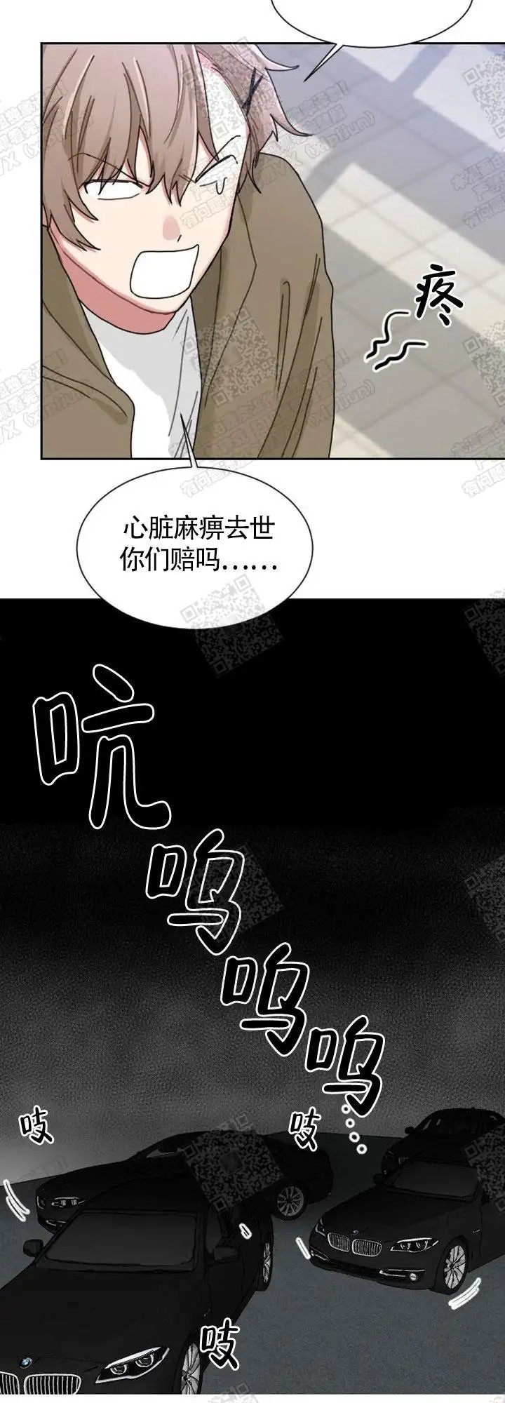 极道也有爱 - 被骗了 - 第10页