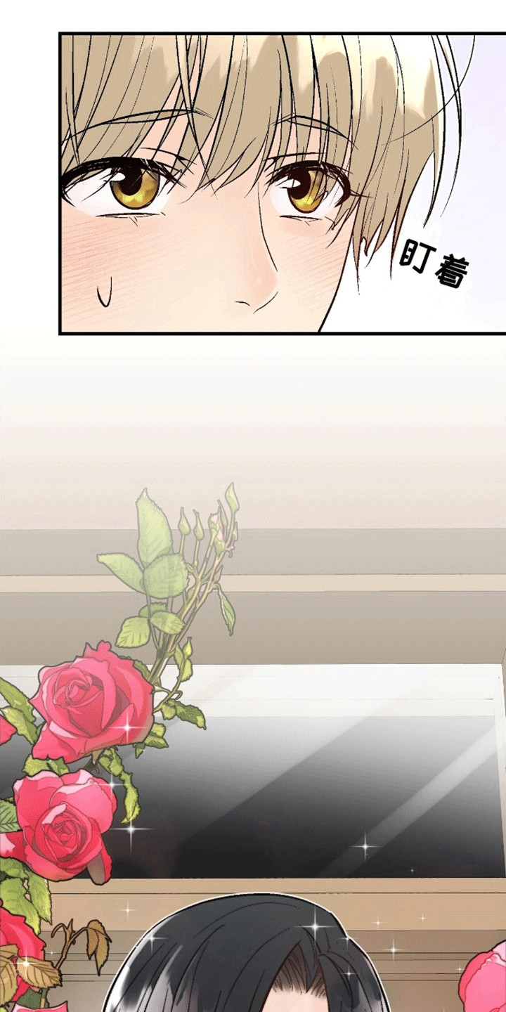 奇爱谈 - 陌生人 - 第18页