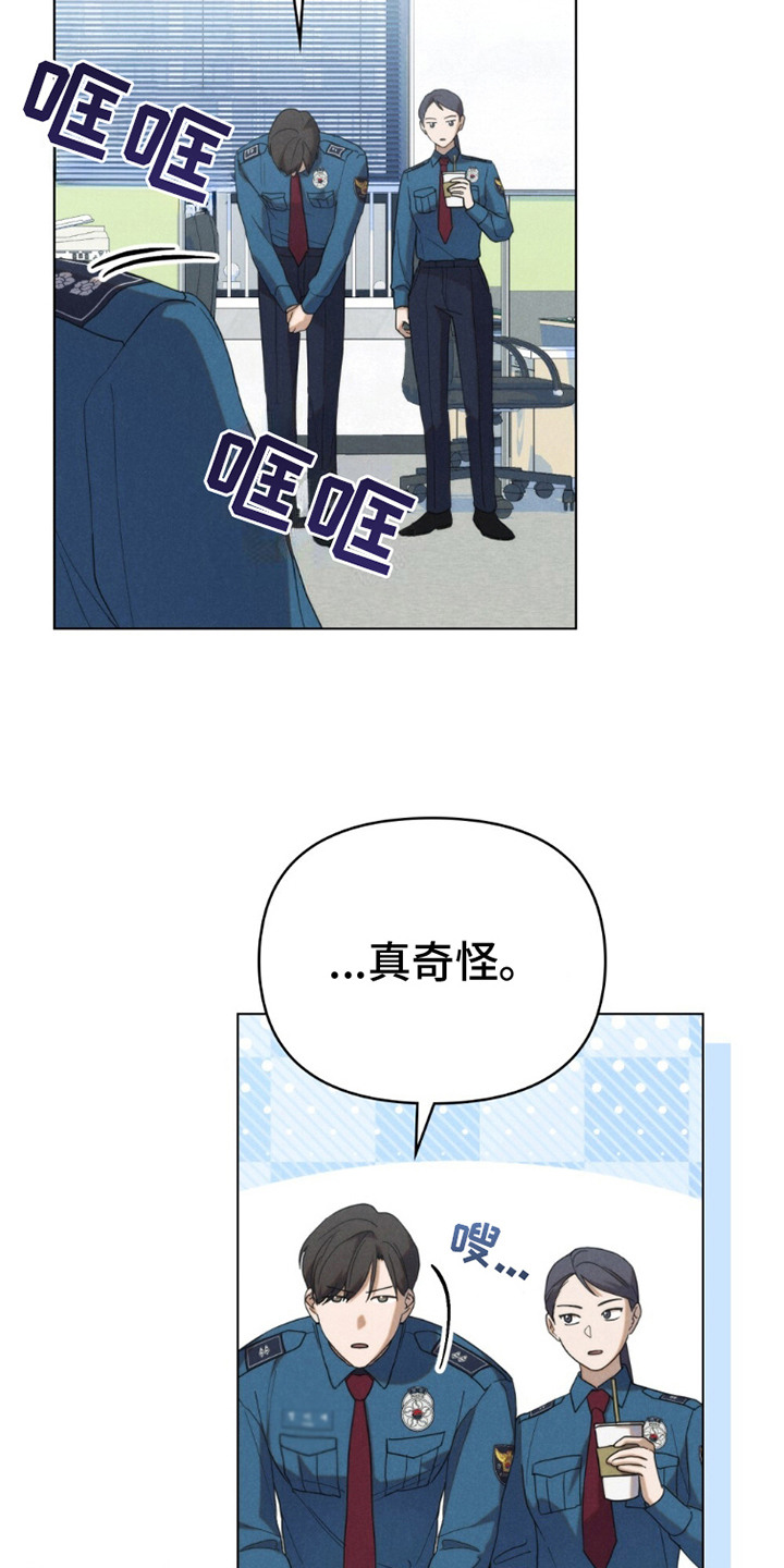 伪装浪漫 - 检讨 - 第11页