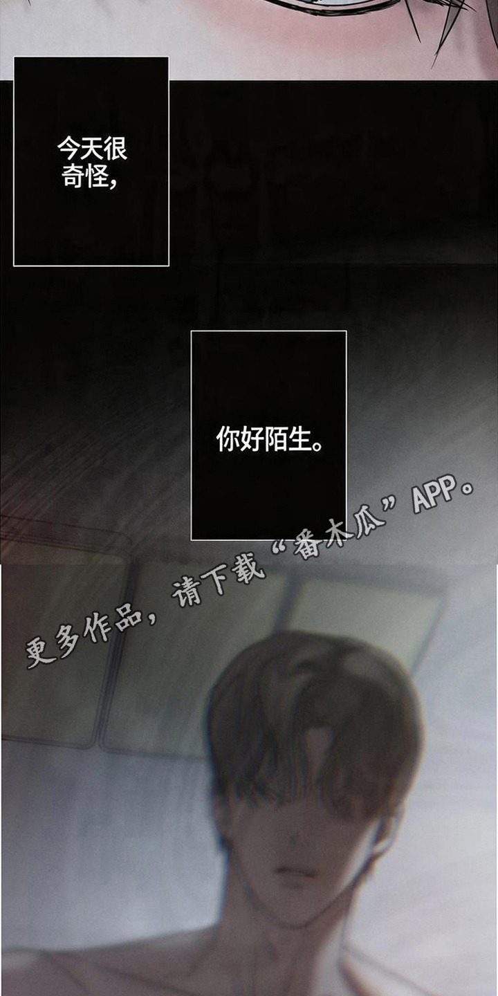爱意沉寂 - 你是谁 - 第7页