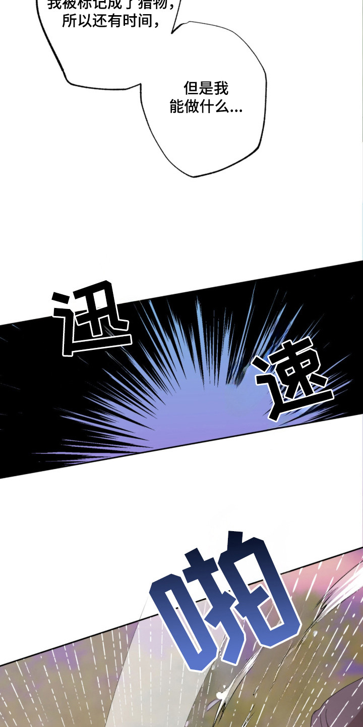 双生悲愿 - 争取时间 - 第5页