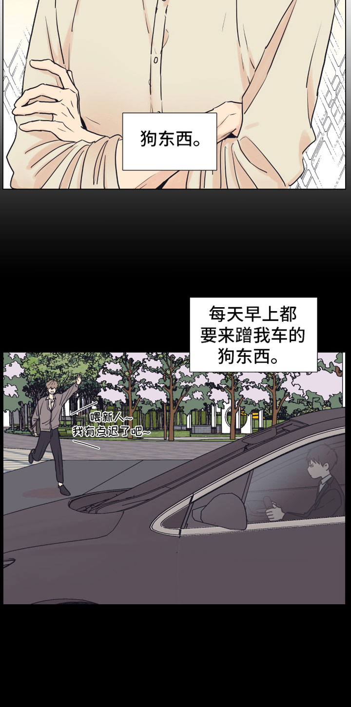 金代理的规则 - 狗东西 - 第12页