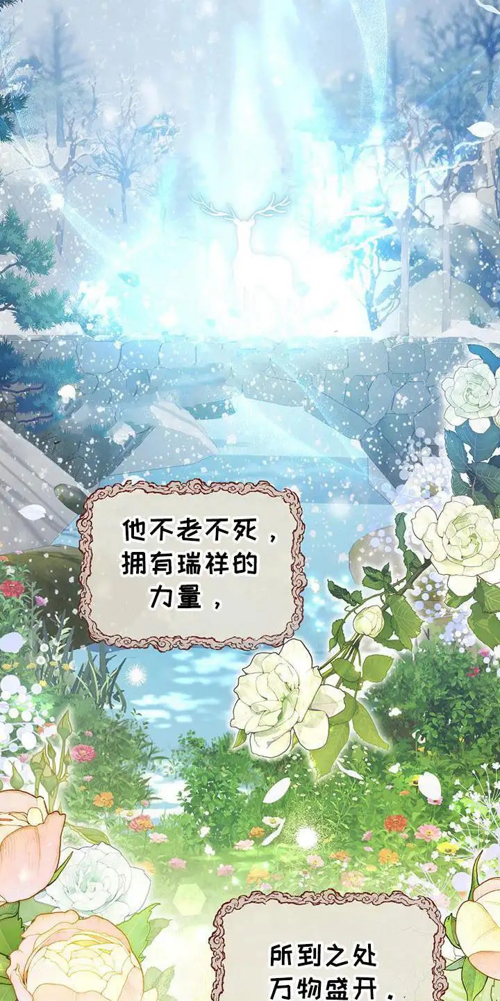 花莲守护神 - 守护神 - 第6页