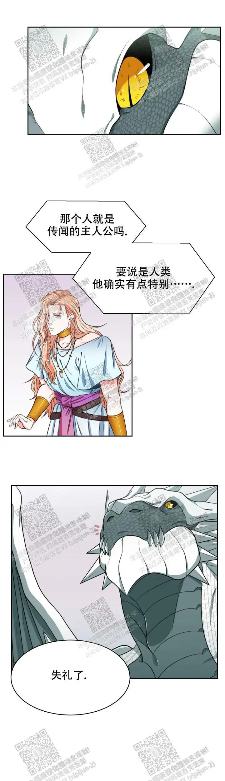在我的沙漠 - 这帅啊 - 第12页