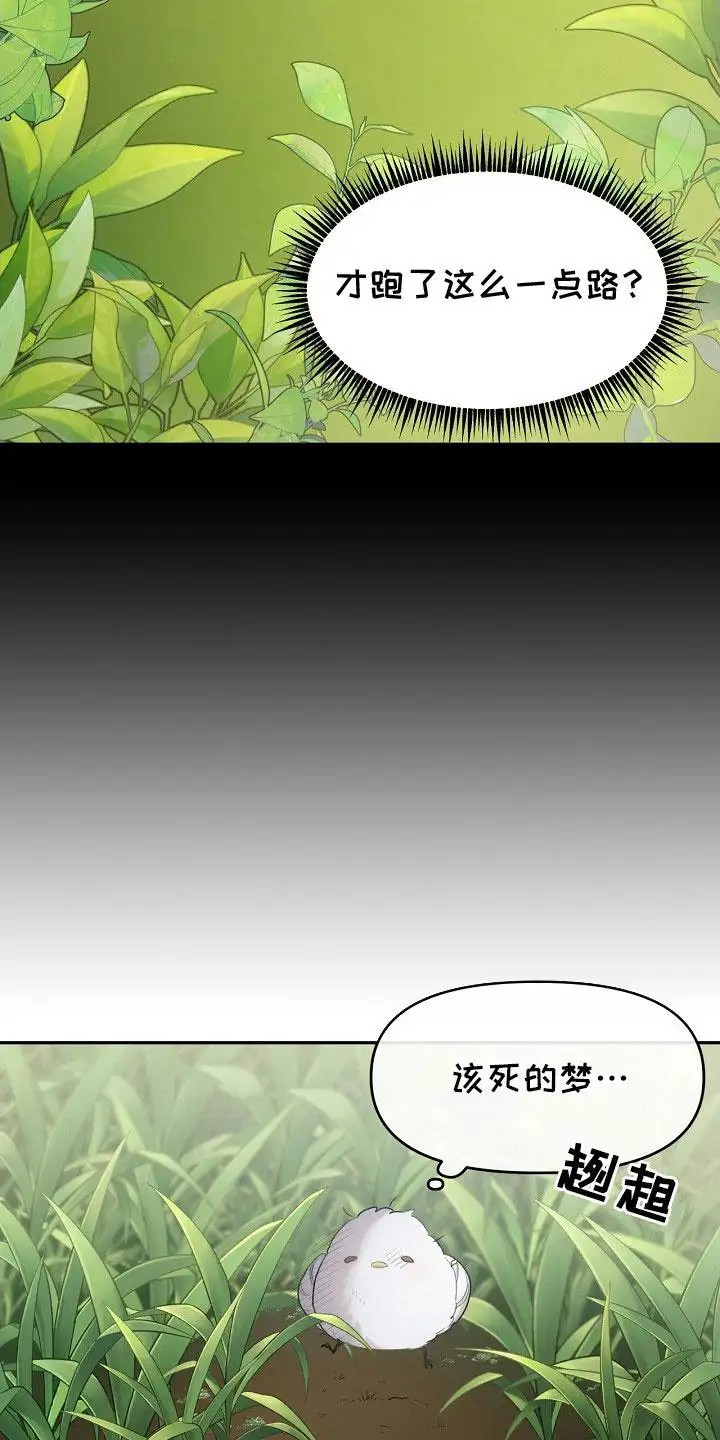 白鸟奇遇记 - 白色小鸟 - 第16页