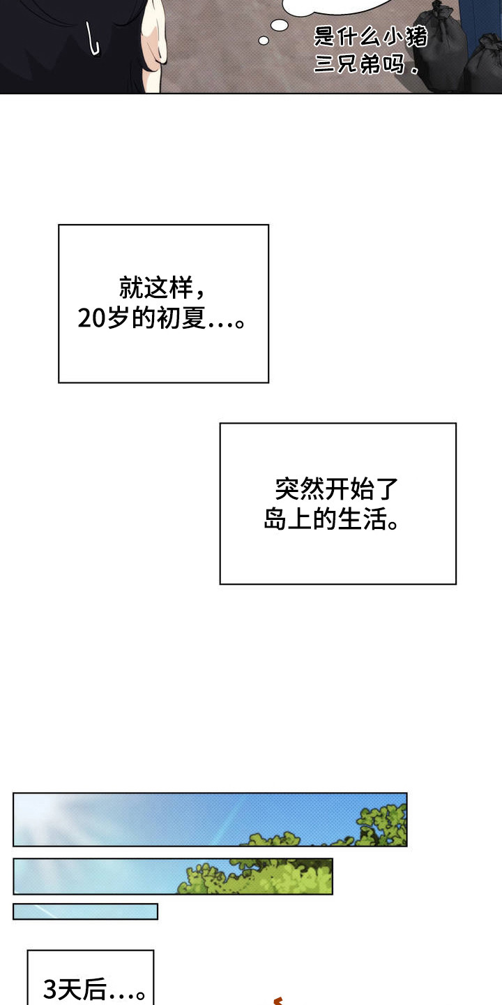爱情岛 - 小岛 - 第11页