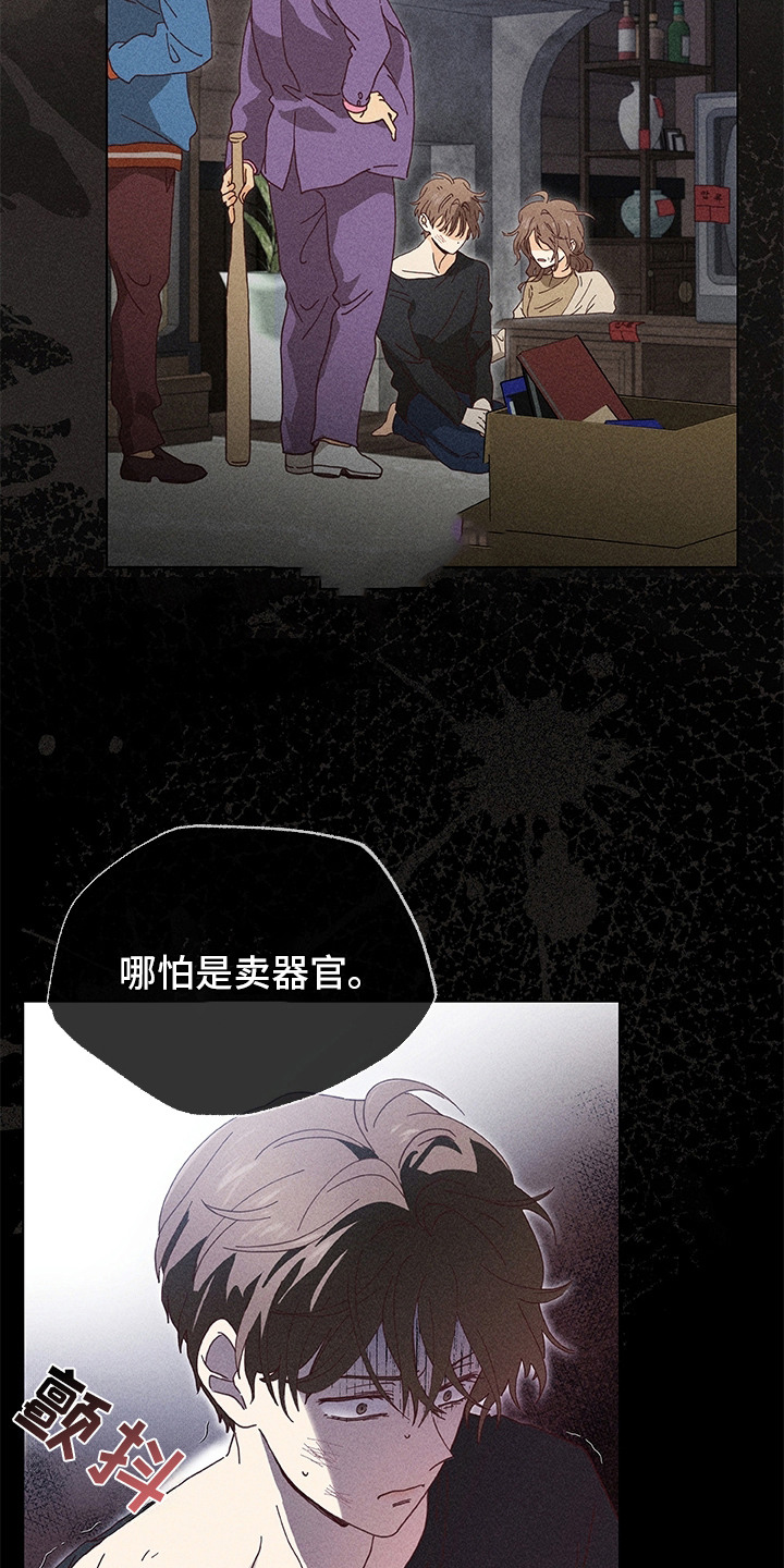 都市美男下乡记 - 变故 - 第18页