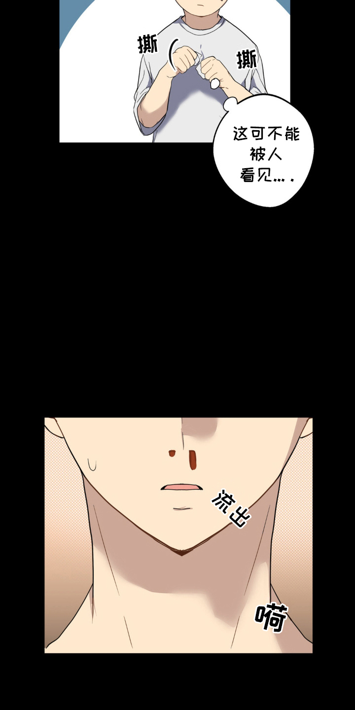 忧郁的错觉 - 小说开始 - 第12页
