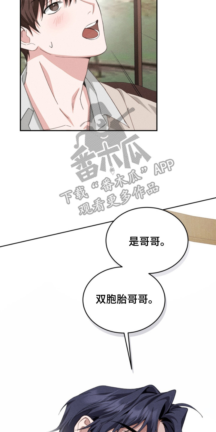 危情三人戏 - 双胞胎 - 第18页