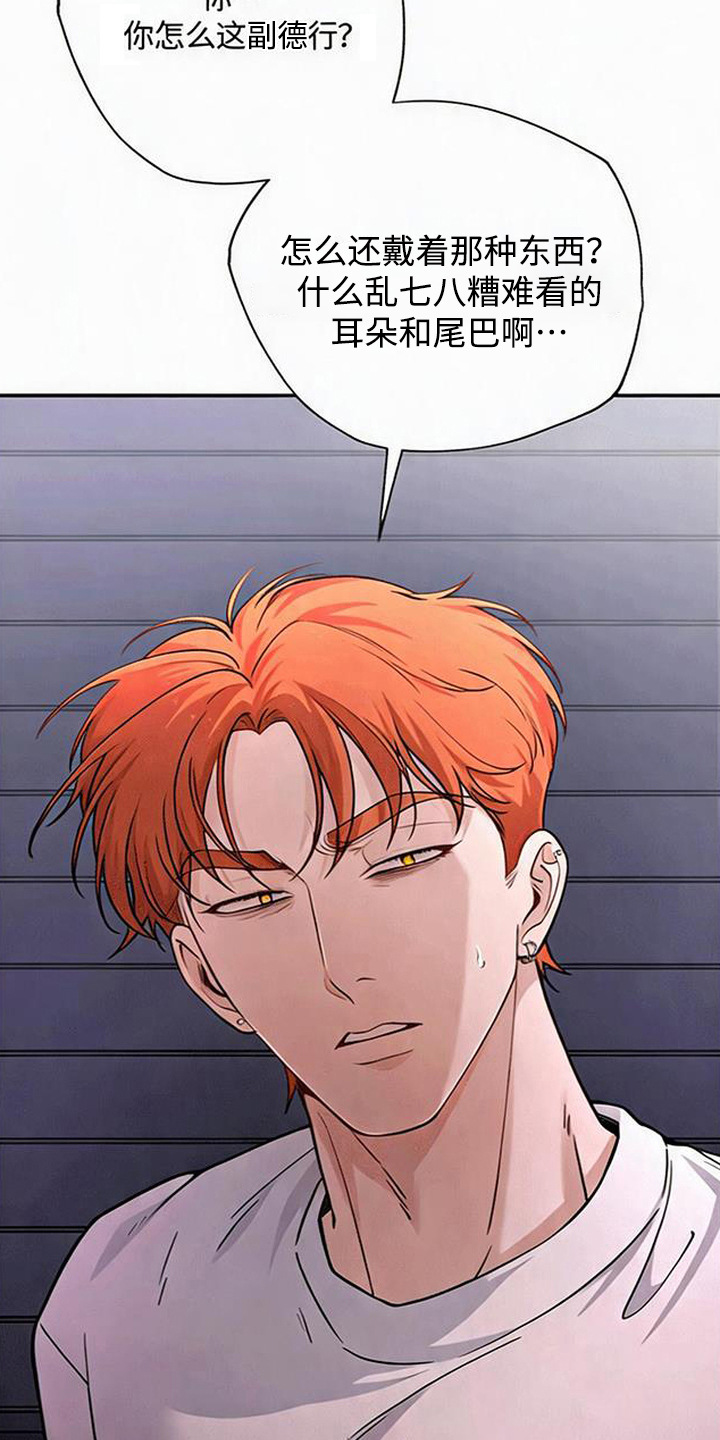星光狼影 - 委屈 - 第14页