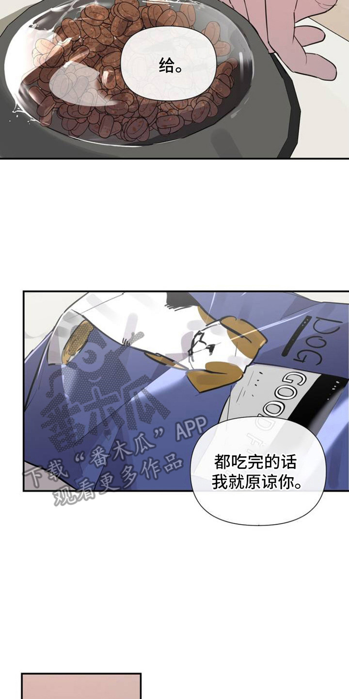 完美项圈 - 狗崽子 - 第9页