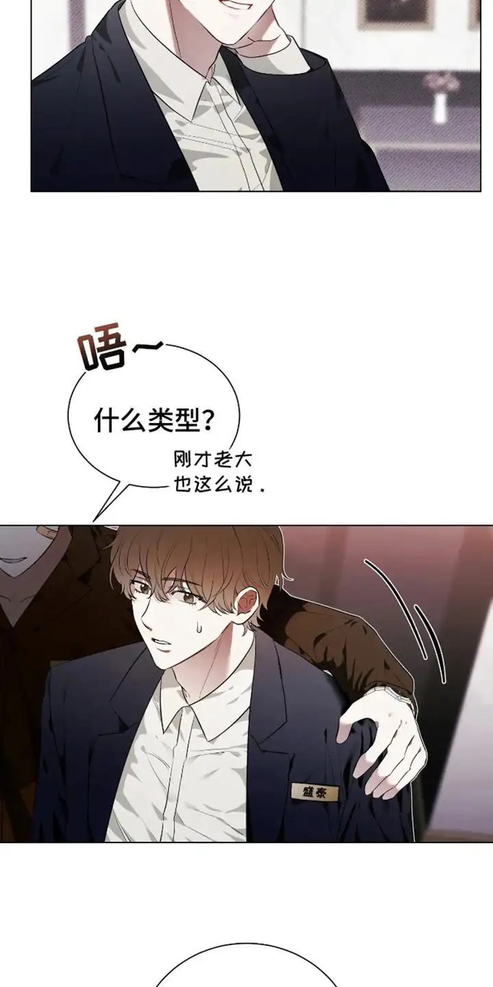 坏苹果替代品 - 喜欢的类型 - 第14页