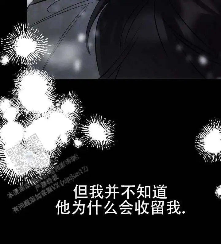 永生之庭 - 容光焕发 - 第38页