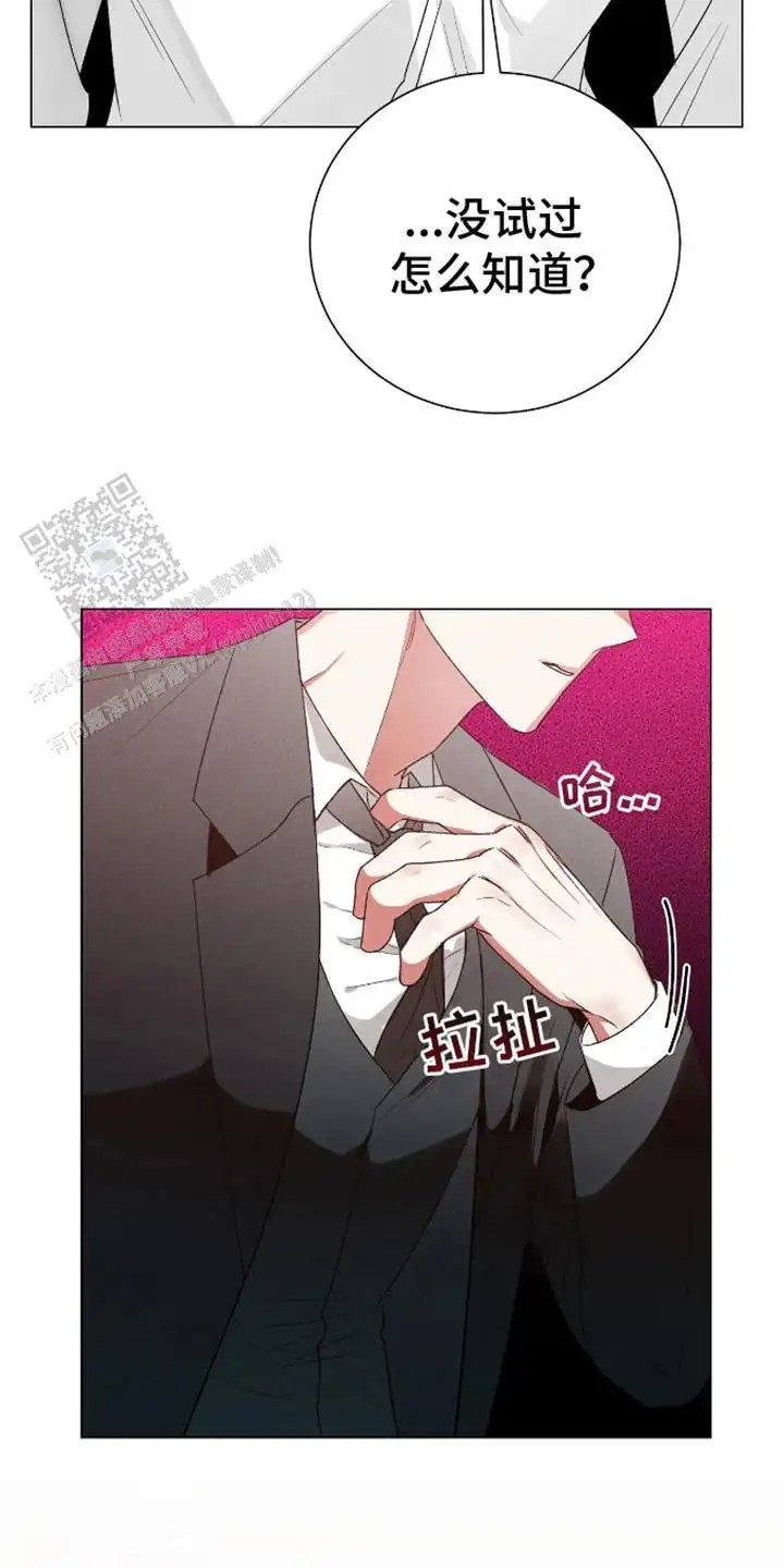 坏苹果替代品 - 试试看 - 第15页
