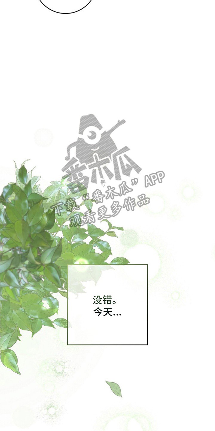 爱上骑士团团长 - 实现梦想 - 第9页