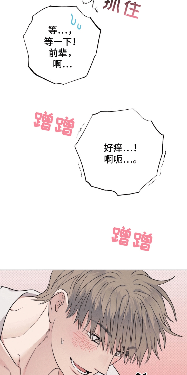 狼狗饲养日记 - 请求 - 第7页