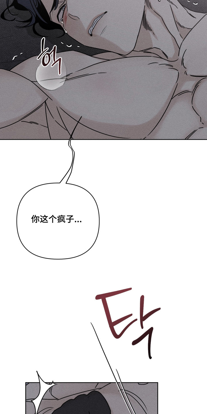 黑道规则 - 狗东西 - 第6页