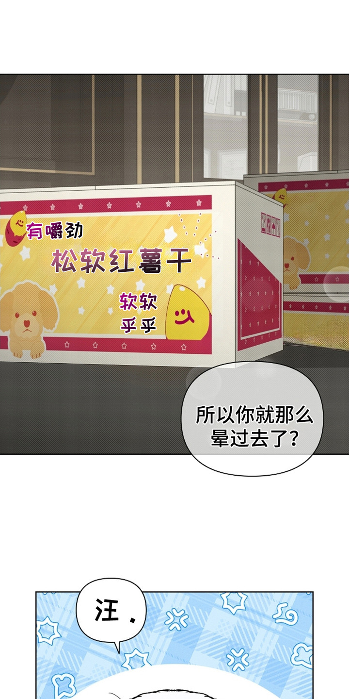 不要招惹小狗 - 小零食 - 第11页