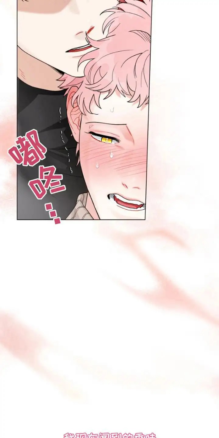 私人定制 - 香味 - 第6页