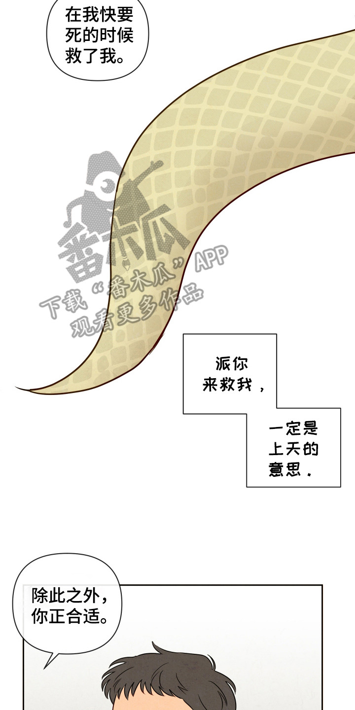 拥神说 - 拒绝 - 第15页