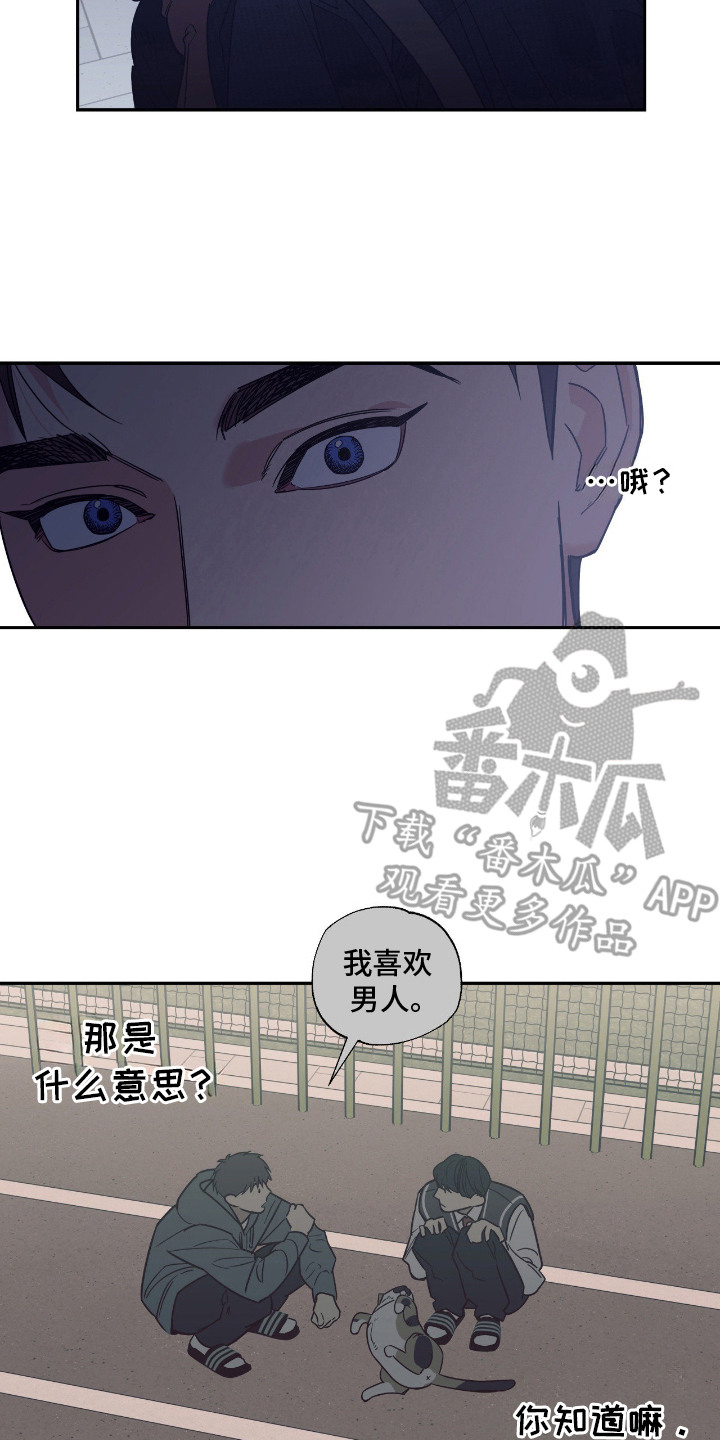 猫大爷和我 - 野猫 - 第21页