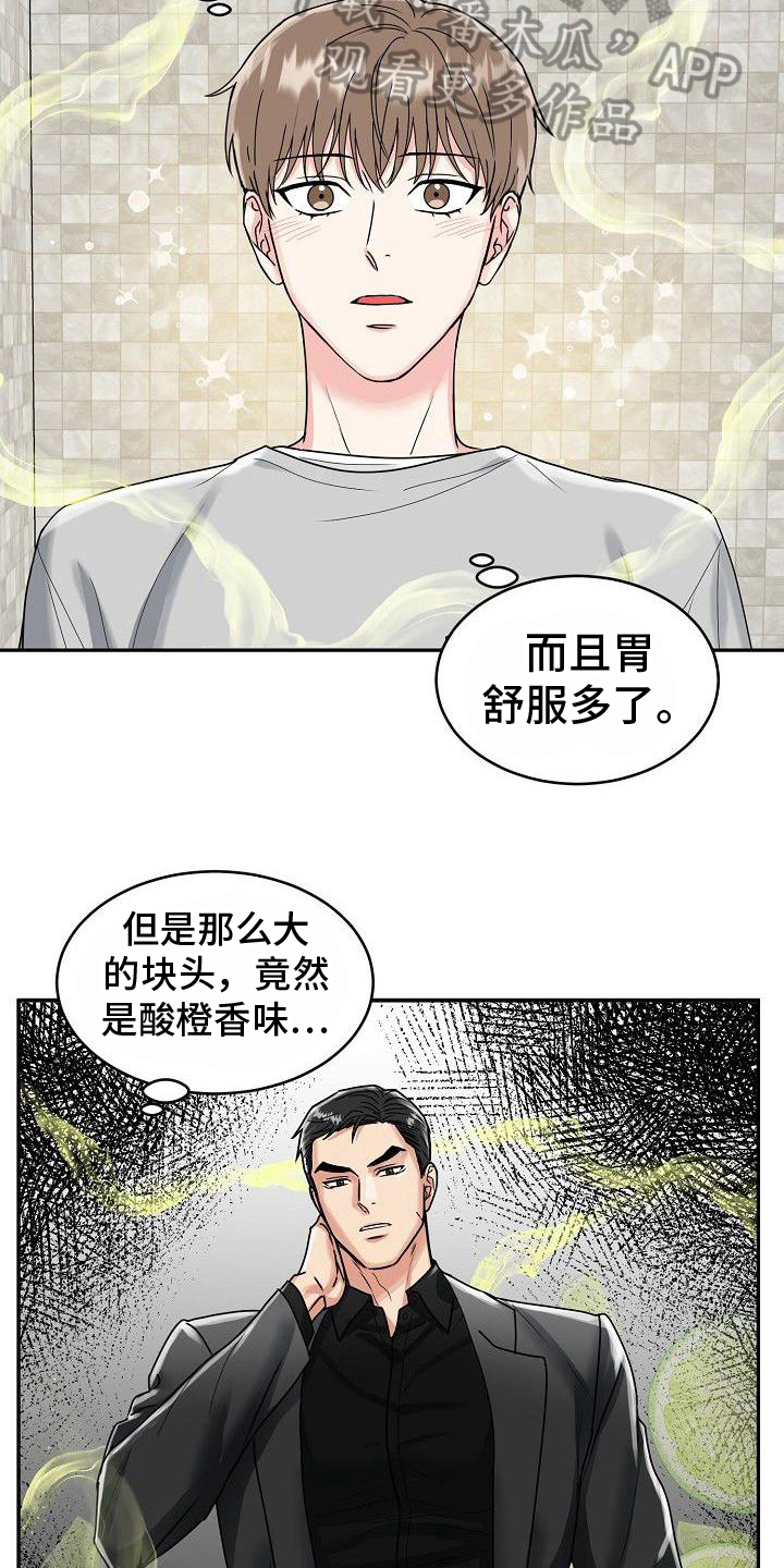 虎的孩子 - 惩戒 - 第15页