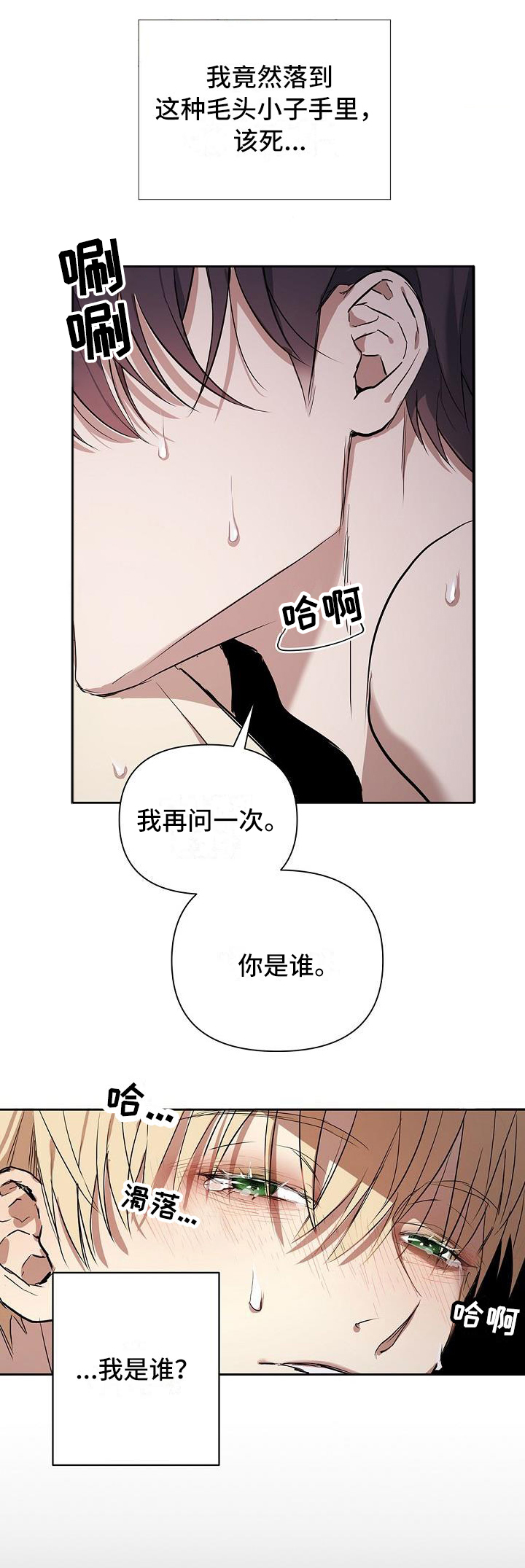 帝国的轮回 - 你是谁 - 第16页