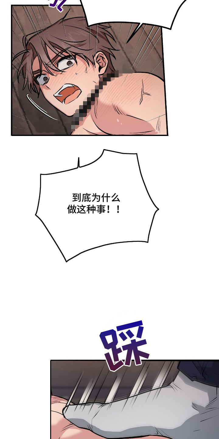 活体快递 - 特殊快递 - 第13页
