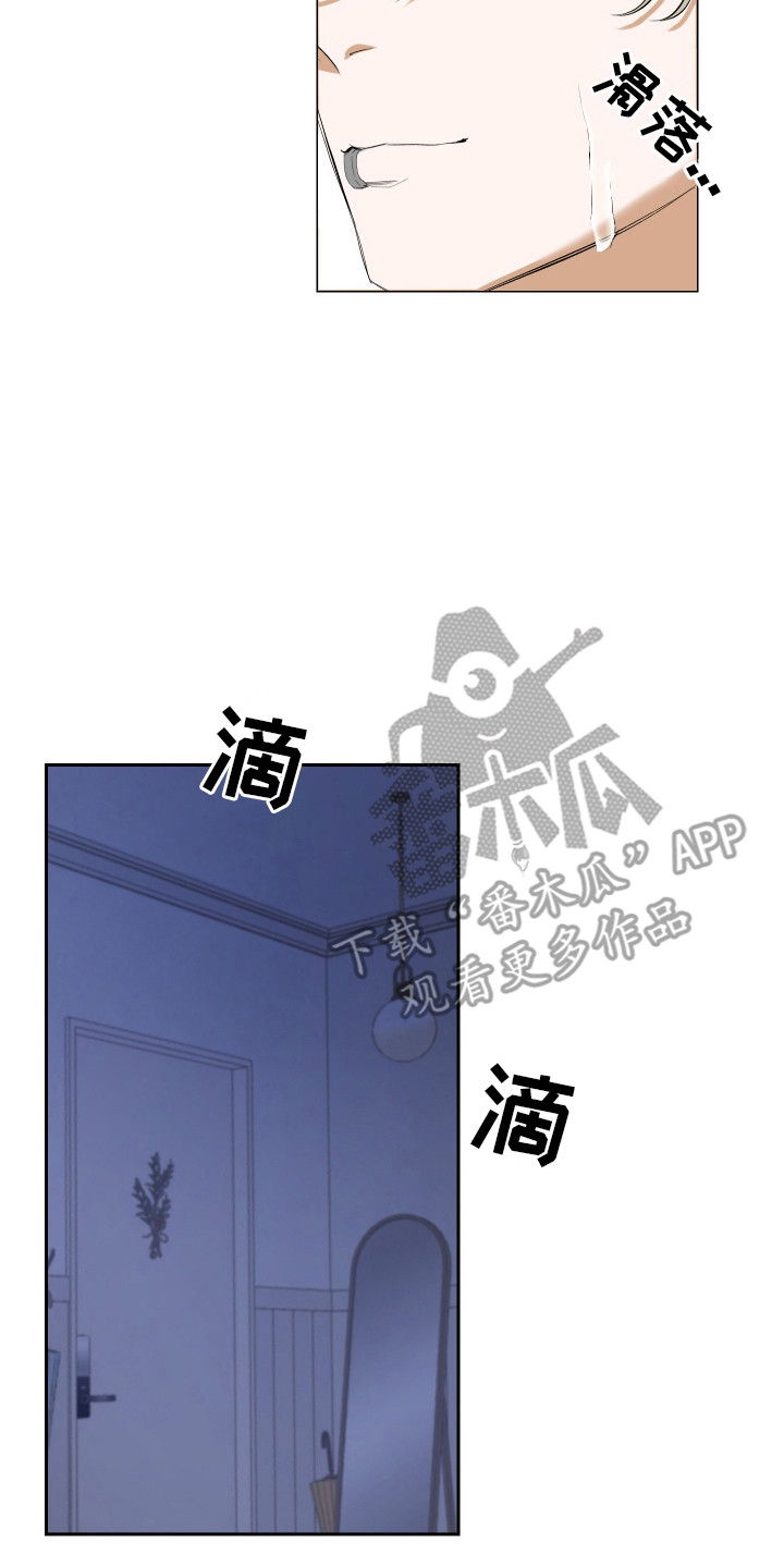 纯血人类与家养兔 - 暗恋 - 第15页