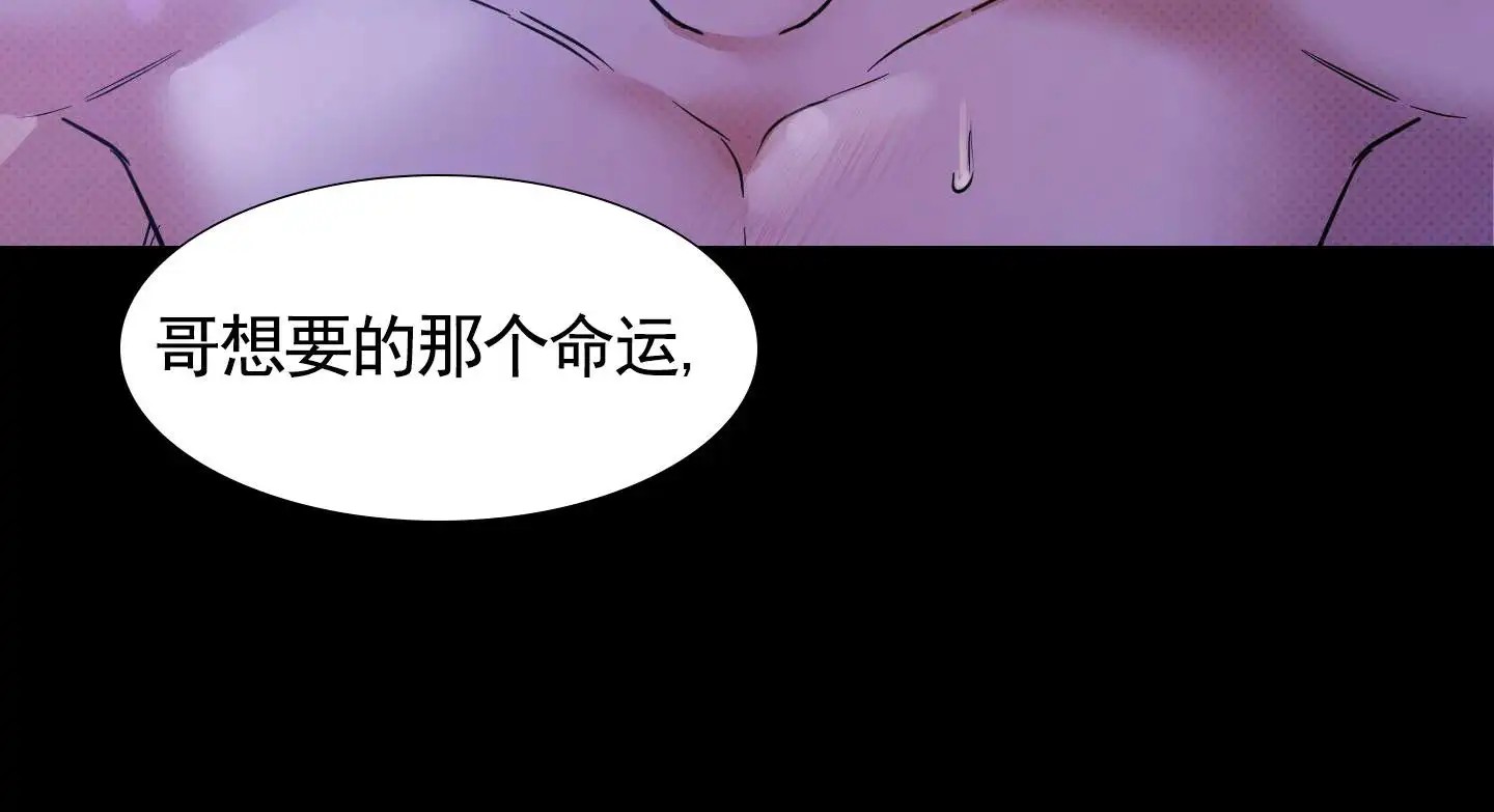 偶然的命运 - 幻想 - 第13页