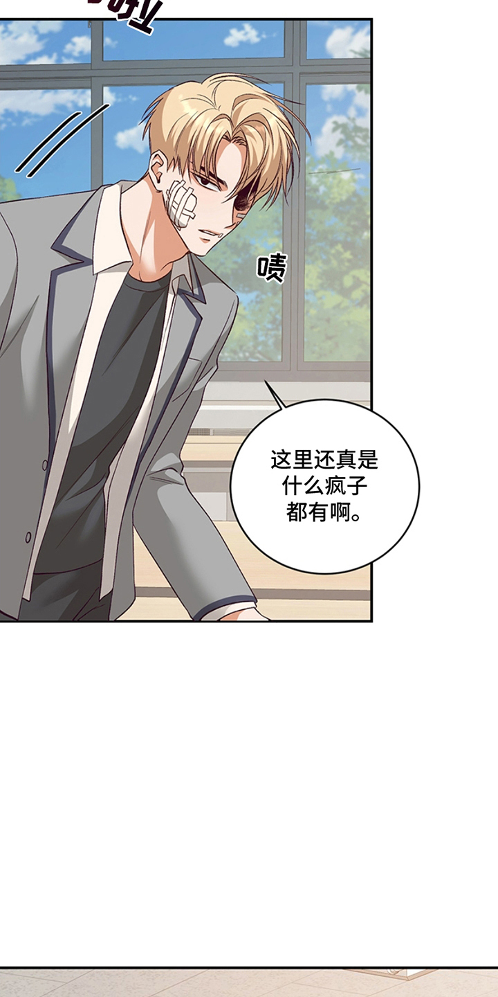 蒲公英观察日 - 转学生 - 第14页