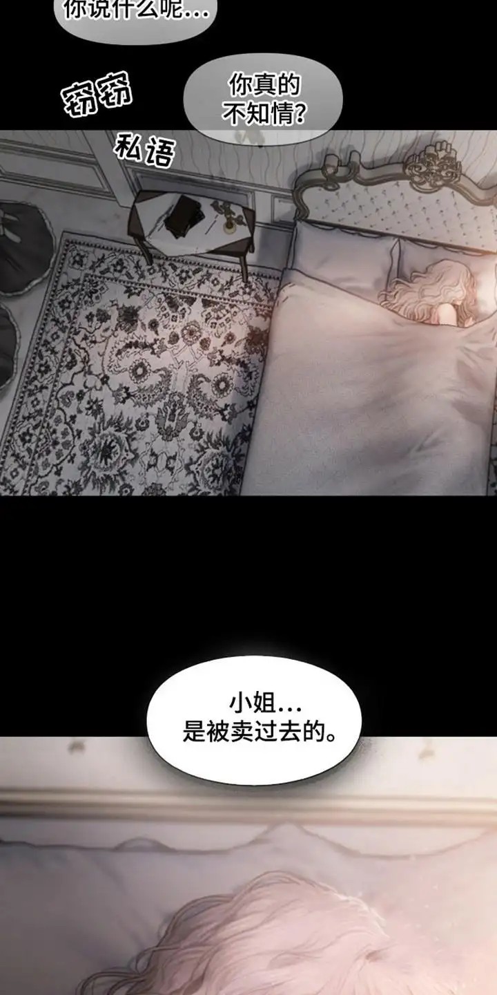 山谷里的铃兰 - 议论 - 第6页