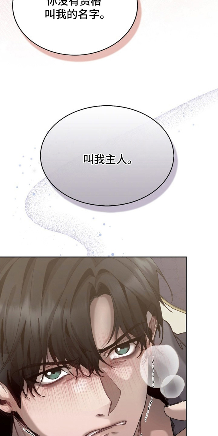 权力的代价 - 自尊心 - 第8页